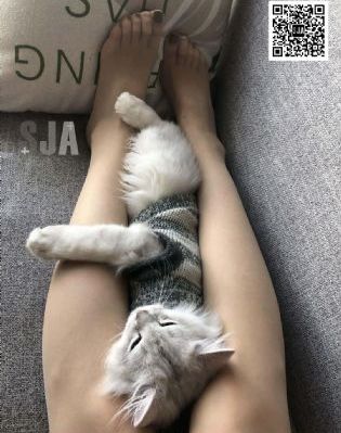 欧美最火泳装秀超模_BD国语动漫在线观看